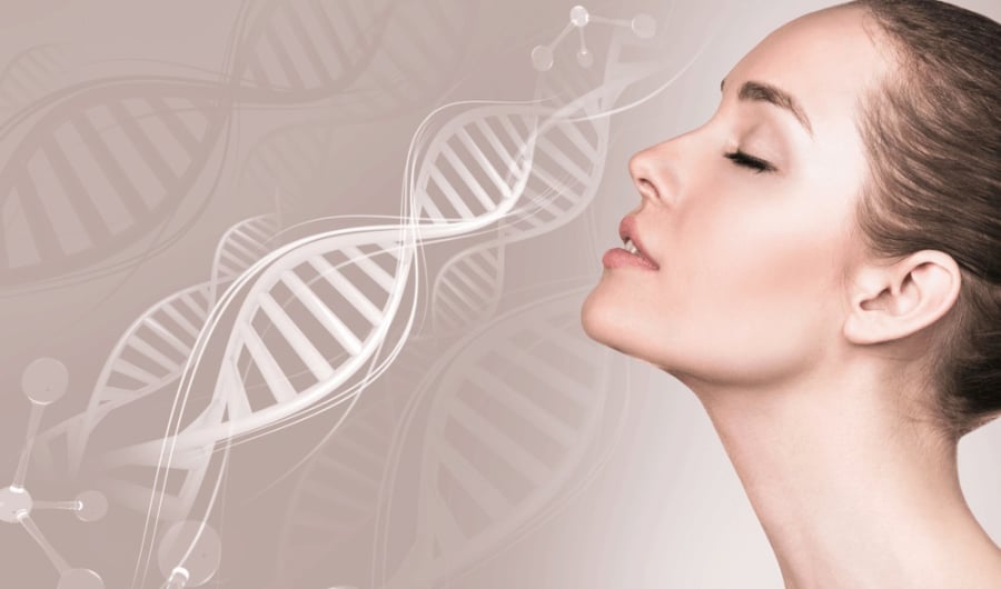 collagen3-0823.jpg