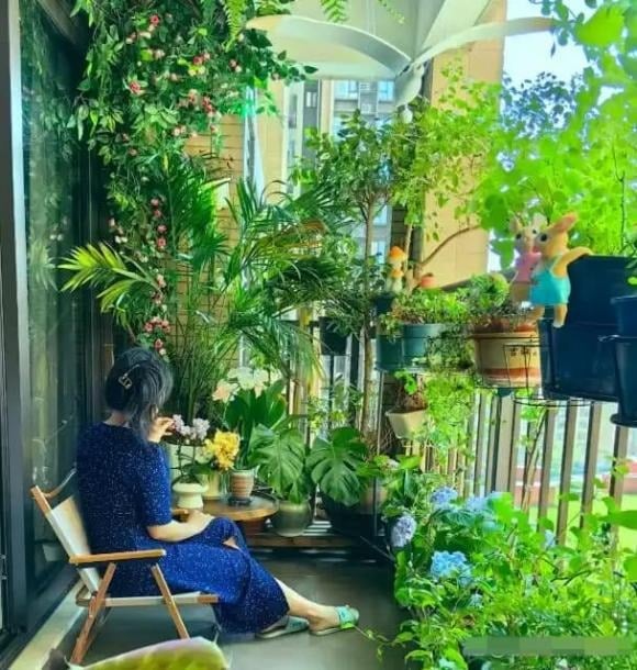 Ngày nay, trồng hoa và cây cảnh trên ban công là sở thích của nhiều gia đình, cả người già lẫn người trẻ.