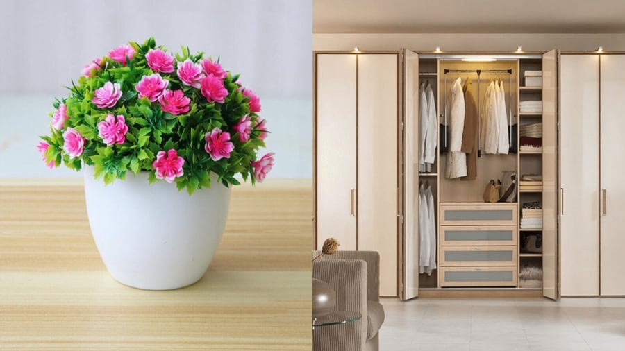 Chậu hoa để lên nóc tủ quần áo thường phải tưới nước dễ gây ẩm mốc... (Ảnh minh họa)