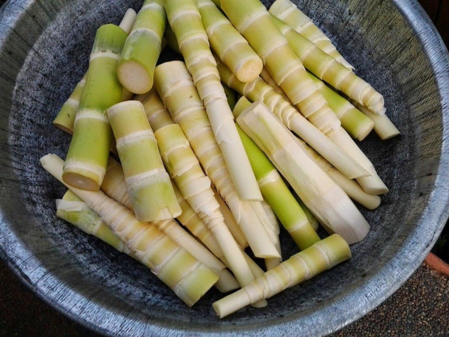 mang-tuoi-0358.jpg