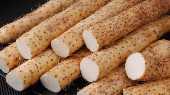 Củ mài được xem là “thực phẩm dưỡng thận”, có tác dụng ích thận khí, bổ tỳ vị, phế và thận.