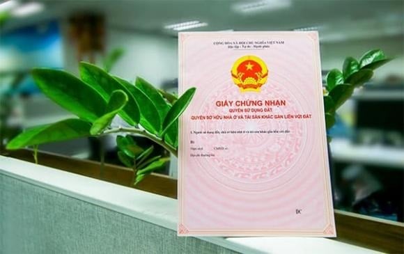 Nếu nhóm người sử dụng đất gồm các thành viên là hộ gia đình hoặc cá nhân, họ sẽ có quyền và nghĩa vụ như cá nhân theo quy định của Luật Đất đai.