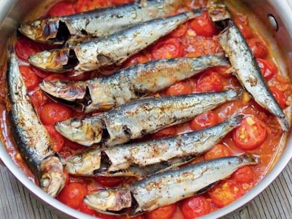 Tại Việt Nam, cá mòi tập trung nhiều ở vùng biển phía Bắc và Bắc Trung Bộ, đặc biệt là Quảng Ninh, Hải Phòng, Nam Định, Thanh Hóa và Nghệ An.