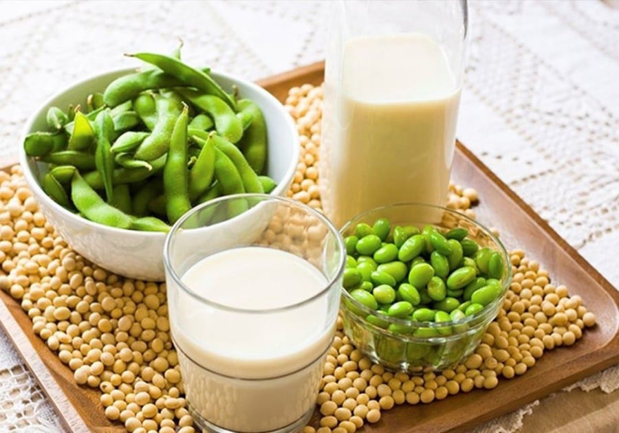 Với mức tiêu thụ hợp lý, đậu nành lại là nguồn protein thực vật quý giá, ít chất béo xấu