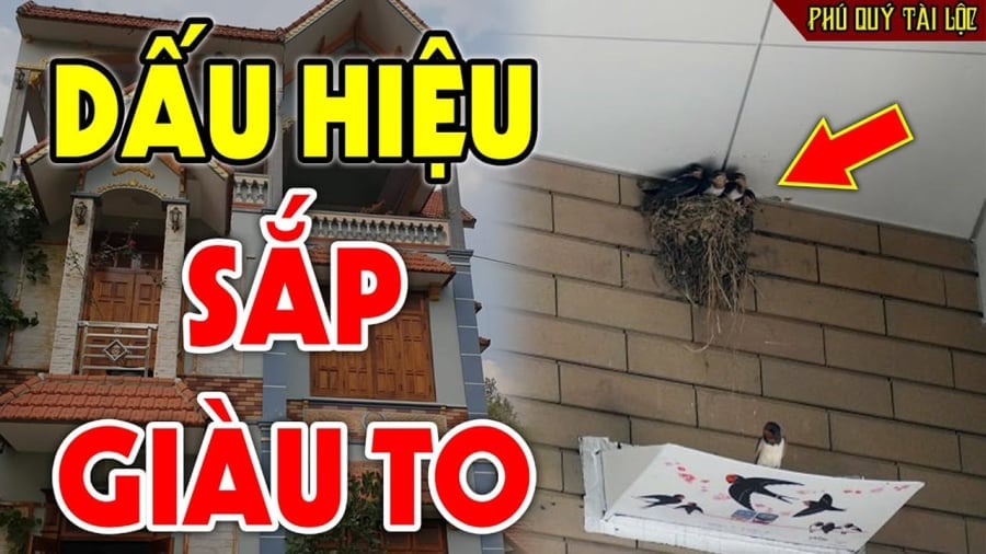 Con vật đệ tử thần tài vào nhà mang tới tiền tài may mắn
