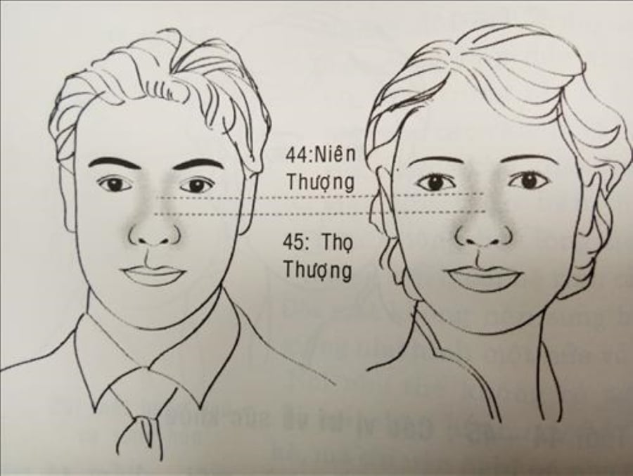 Cả hai vị trí này đều liên quan đến sức khỏe của một người. (Ảnh minh họa)