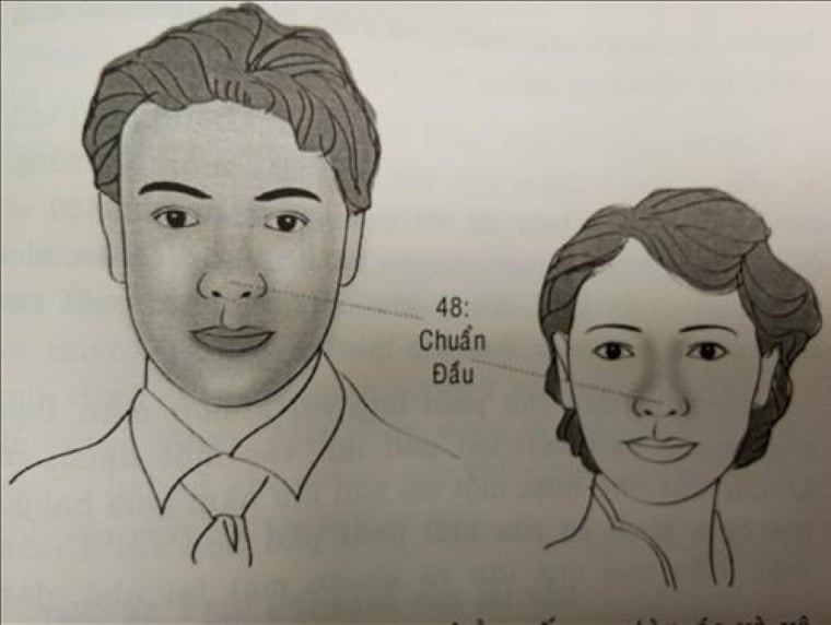 Chóp mũi nhọn là nét tướng của người có tâm địa xấu xa, tàn ác và vô ơn. Đây là kiểu người không nên kết bạn. (Ảnh minh họa)
