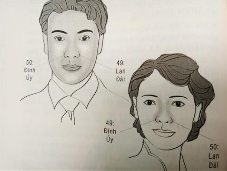 Vận số tuổi 49 – 50 được thể hiện qua các cánh mũi, biểu trưng cho khả năng kiếm tiền của một người. (Ảnh minh họa)