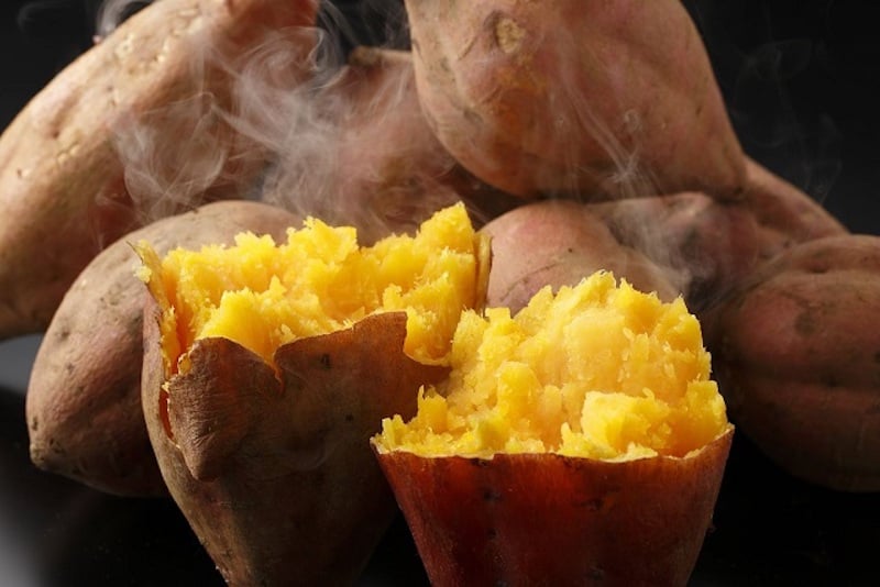 Khoai lang là loại thực phẩm dân dã, giàu dinh dưỡng