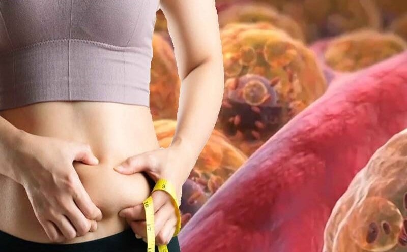Việc giảm hoặc loại bỏ rượu và thuốc lá khỏi chế độ sinh hoạt cũng giúp giảm mỡ nội tạng.