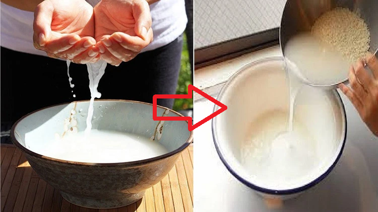 Công dụng nước vo gạo