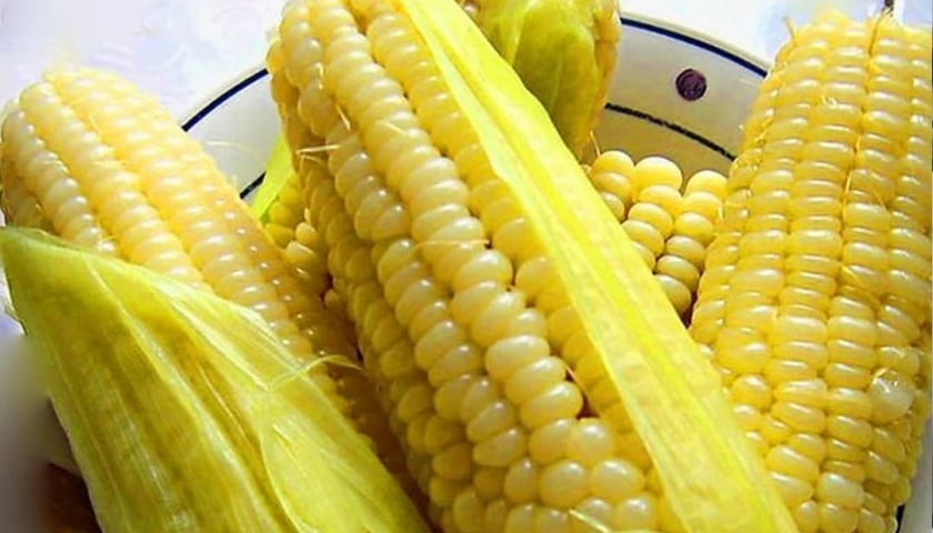 Ngô (bắp) – Nhiều chất xơ, dễ chế biến, hỗ trợ tiêu hóa    