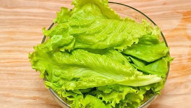 Xà lách – loại rau bình dân quen thuộc trong bữa cơm Việt, giàu dinh dưỡng và tốt cho sức khỏe.