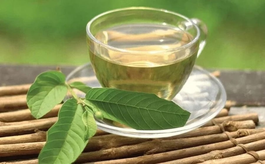 Uống nước lá ổi cực hại với 6 nhóm người này