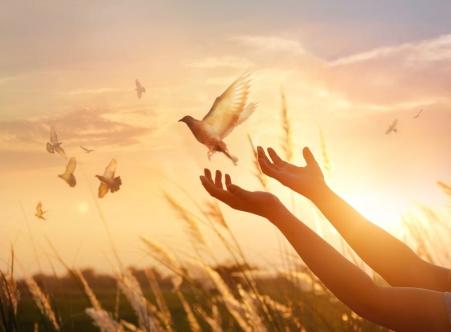 Người tuổi Mùi thường hiền hòa, nhân hậu, luôn biết quan tâm đến người khác. 