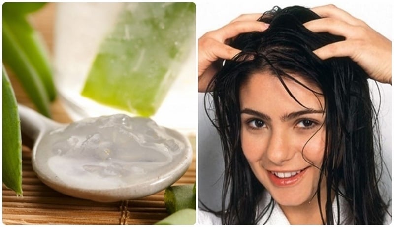 Nha đam có tác dụng cân bằng độ pH, làm mát và làm dịu da đầu, từ đó kích thích tóc mọc nhanh chóng.