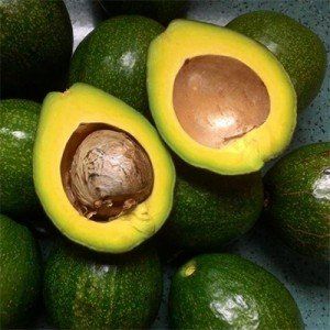 Hạt bơ cũng nhiều dinh dưỡng