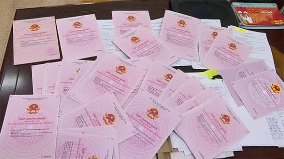 Nếu nhóm bao gồm thành viên hộ gia đình, cá nhân thì được áp dụng quyền và nghĩa vụ như cá nhân theo quy định.