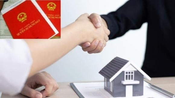 Những thửa đất chưa được cấp giấy chứng nhận quyền sử dụng đất (sổ đỏ) hoặc không đủ điều kiện để cấp sổ sẽ không được phép chuyển nhượng hay tặng cho, trừ các trường hợp thừa kế theo quy định pháp luật.