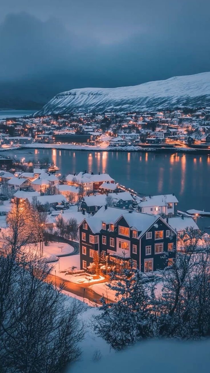 Iceland là quốc gia không có muỗi