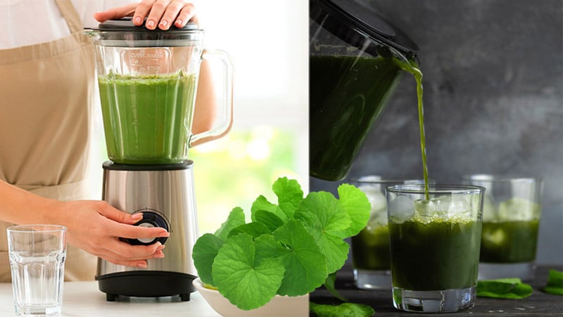 Rau má từ lâu đã được xem là thần dược trong dân gian, vừa giúp thanh nhiệt, giải độc, vừa làm đẹp da.
