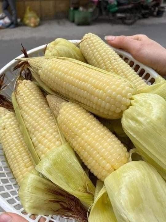 5 người không nên ăn ngô    