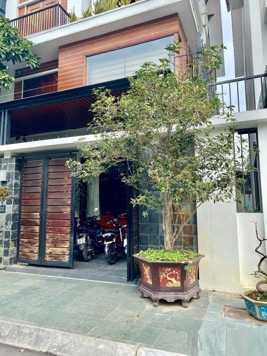 Đặc biệt, có một loại cây vừa hợp với cả 5 mệnh, vừa nổi tiếng với hương thơm thanh khiết, lại có khả năng lọc sạch không khí trong nhà, đó chính là cây Mộc Hương (còn gọi là cây Mộc, hoa Mộc, Quế Hoa).    