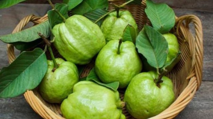 Quên cam, chanh đi: Loại quả này mới là giàu Vitamin C bậc nhất