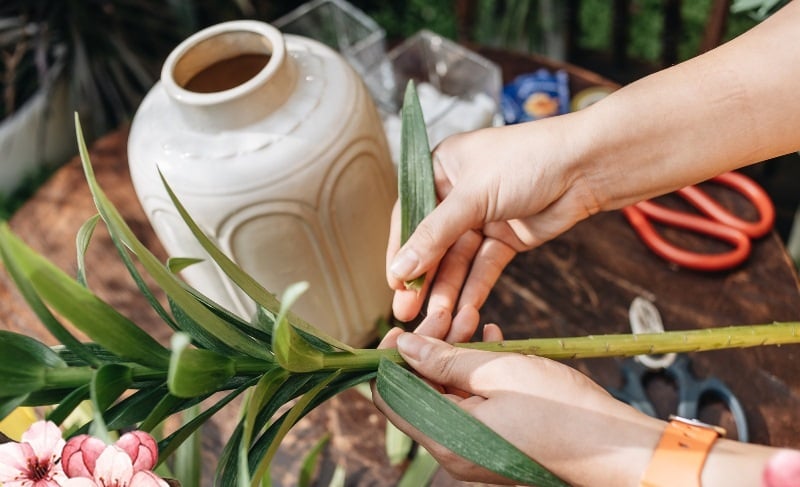 Trước khi cắm, hãy cắt chéo gốc hoa khoảng 45 độ để tăng diện tích tiếp xúc với nước. 