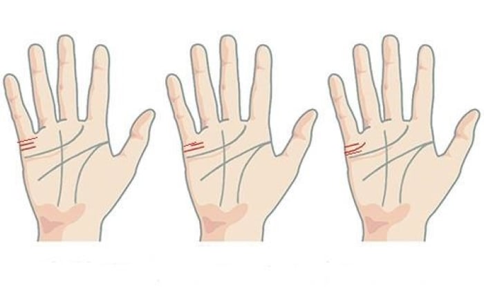 Đường hôn nhân nhiều đường dài ngắn khác nhau