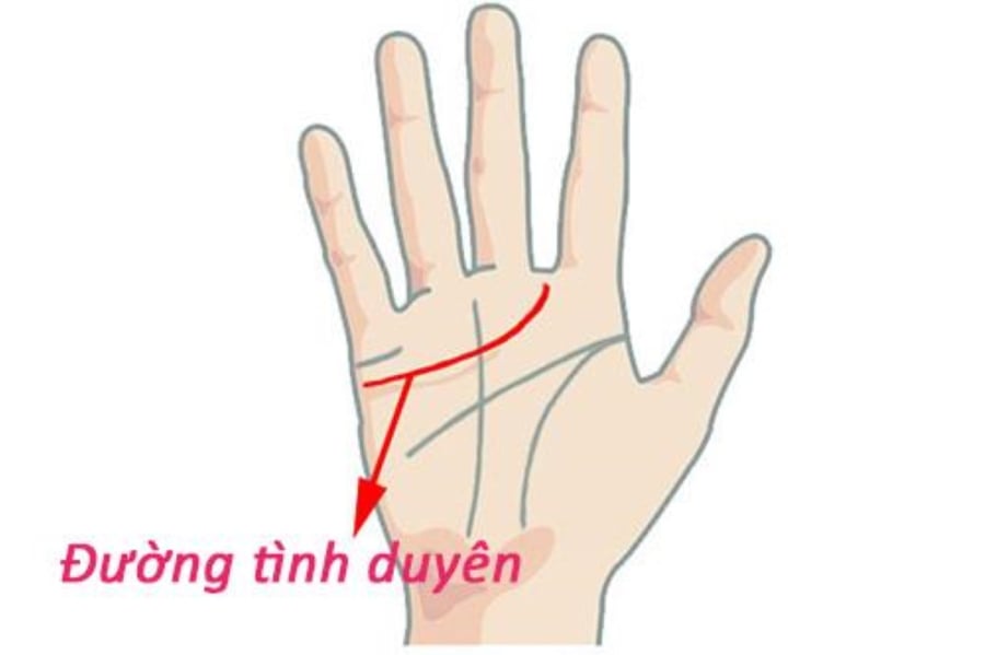  Đường tình duyên kéo dài hướng xuống dưới