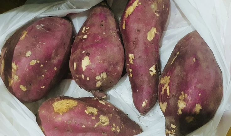 Khoai lang – Món ăn bổ rẻ nhưng không dành cho tất cả