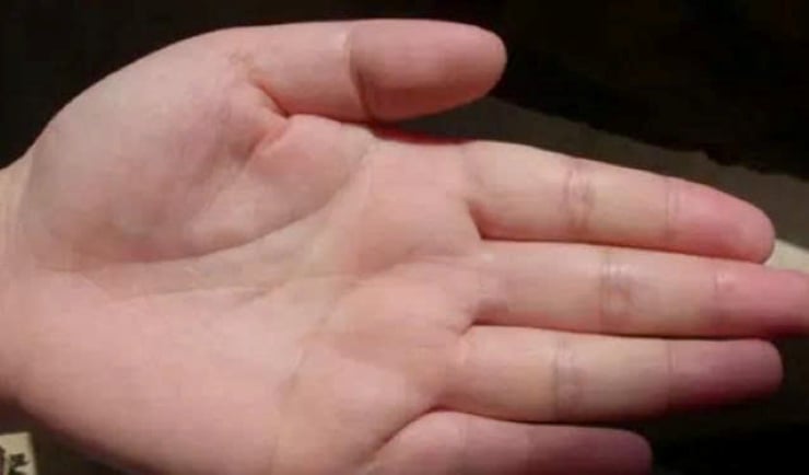 Người có các ngoán tay cân đối là những con người giỏi trong việc quản lý tiền bạc, biết cách kiếm tiền và chi tiêu sao cho hợp lý. (Ảnh minh họa)