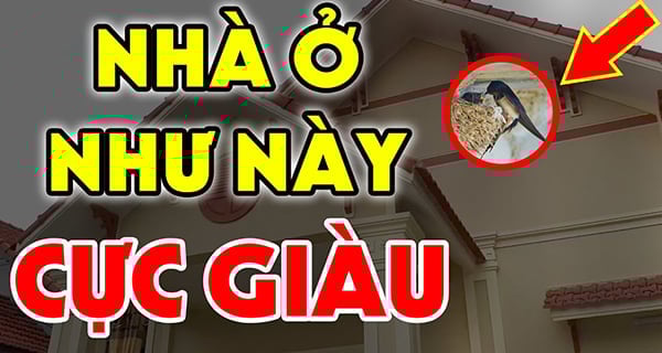 Nhà cực giàu