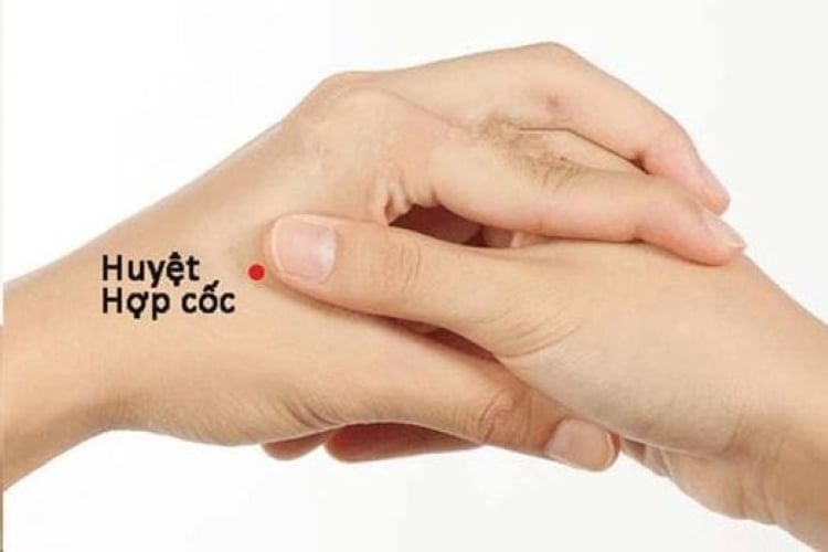 Huyệt hợp cốc