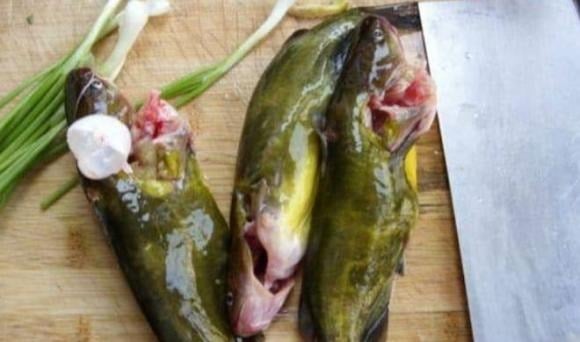 Cá tươi thường có lớp nhớt mỏng, trong suốt và mịn, giúp bảo vệ da và giữ độ tươi của cá.