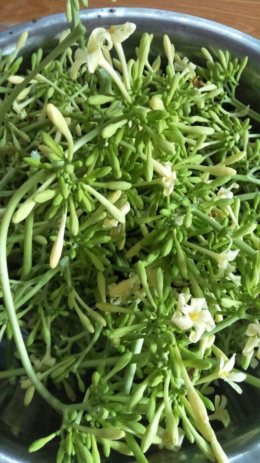 Hoa đu đủ đực được dân gian tin dùng