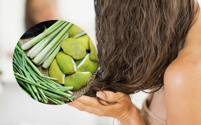 Khi dùng sả để gội đầu, tinh dầu này giúp ức chế sự phát triển của nấm men và vi khuẩn