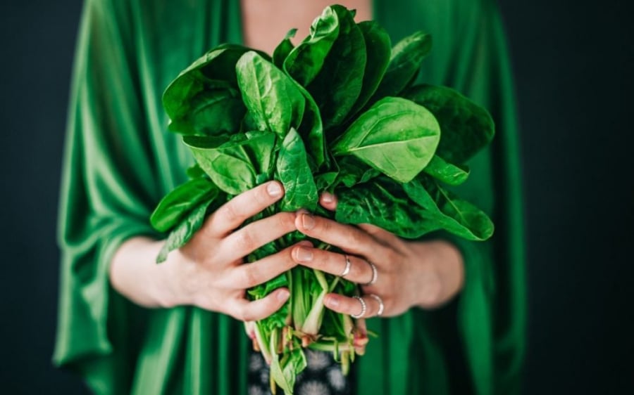 Việc bổ sung rau chân vịt thường xuyên giúp cải thiện lưu thông máu, nuôi dưỡng tóc từ gốc đến ngọn.