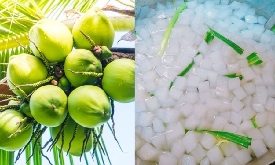 Thach-dua-duoc-tao-ra-tu-qua-trinh-len-men-nuoc-dua-gia