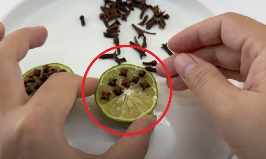 Cắm thứ này vào quả chanh, muỗi cả đàn rủ nhau bay đi hết