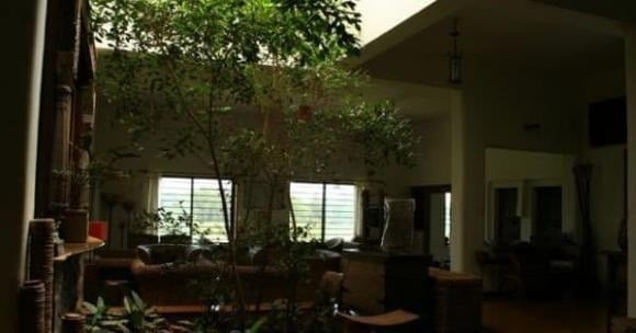 Ánh sáng mặt trời là nguồn năng lượng dương quan trọng nhất trong phong thủy.