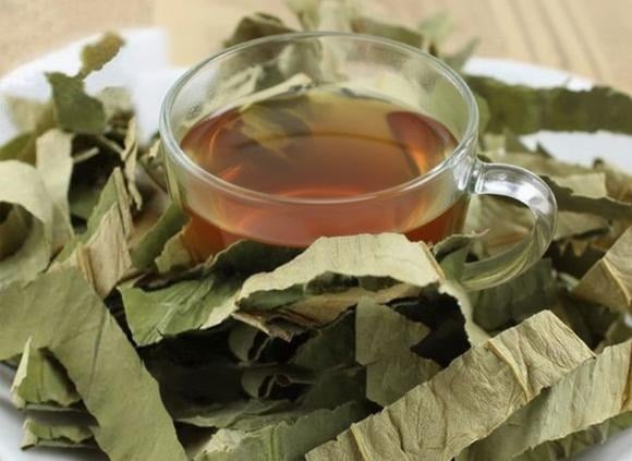 Nước cốt lá mướp giã cùng một chút muối có thể giúp giảm ho, viêm họng và đờm nhầy.