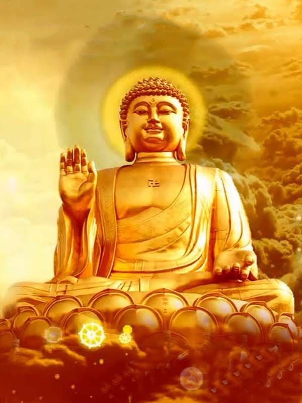 Thời trẻ của họ thường không mấy suôn sẻ: công việc thay đổi liên tục, tài chính bấp bênh.