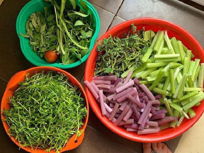 Cọng hoa súng làm rau sống