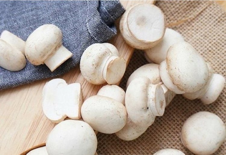 Nấm trắng có khả năng giữ nước, dưỡng ẩm và kích thích quá trình sản sinh collagen