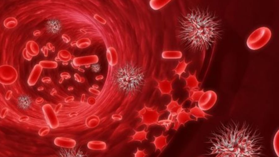 Gần đây nhiều trường hợp vợ chồng cùng bị K
