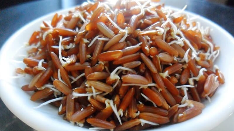 Gạo lứt nảy mầm