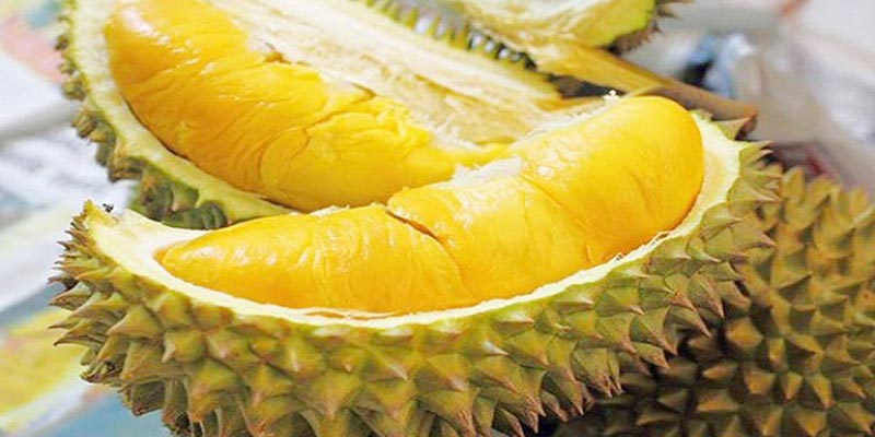 Sầu riêng có mùi nồng nhưng nó chứa nhiều dưỡng chất.
