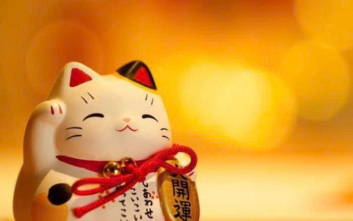 z7131313058376_675a9d63158b1f354e0c74b8b19cd350